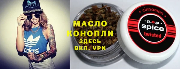 молекула духа Каменка