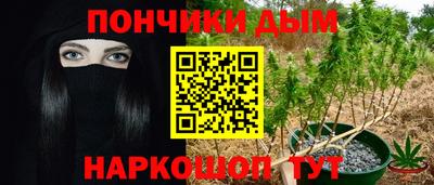мет Камышлов