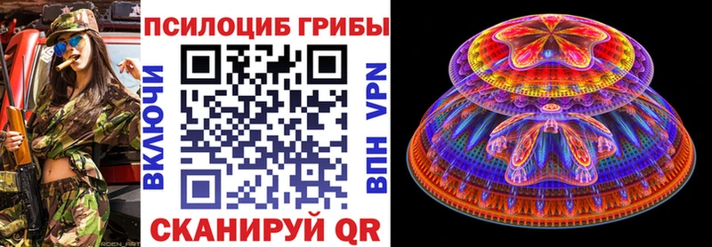Псилоцибиновые грибы Cubensis  Качканар 