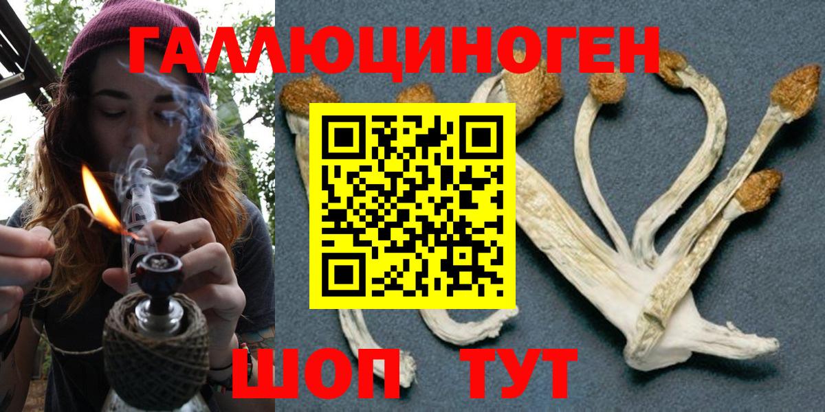 Качканар  купить   Вход с VPN  Псилоцибиновые грибы Psilocybine cubensis 